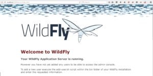 Installing Wildfly Java Application Server